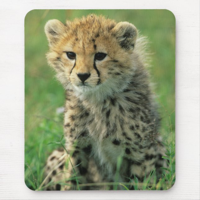 Mousepad Filhote de Guepardo Fofinho (Frente)