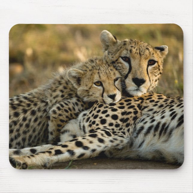 Mousepad Filhote de Guepardo se Aninhando com sua Mãe (Frente)