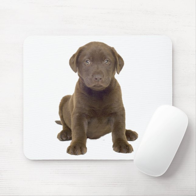 Mousepad Filhote de Lab Chocolate (Com mouse)