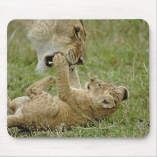 Mousepad Filhote de Leão Brincando