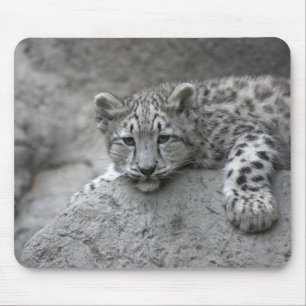 Mousepad Filhote de leopardo-da-neve de 4 meses de idade es