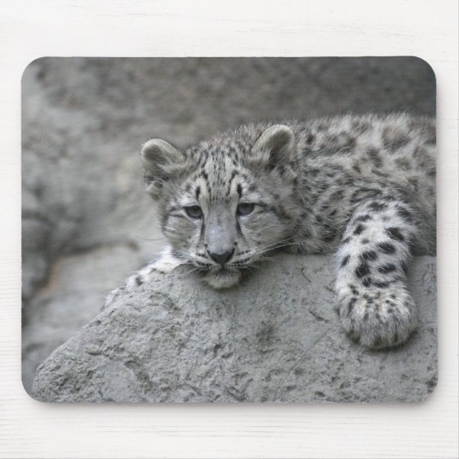 Mousepad Filhote de leopardo-da-neve de 4 meses de idade es (Frente)