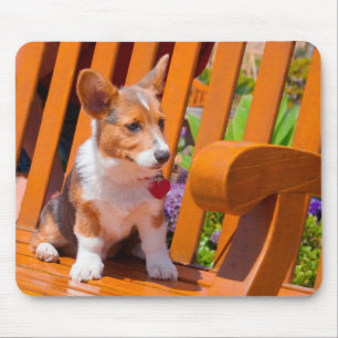 Mousepad Filhote de Pembroke Welsh Corgi sentado em um banc