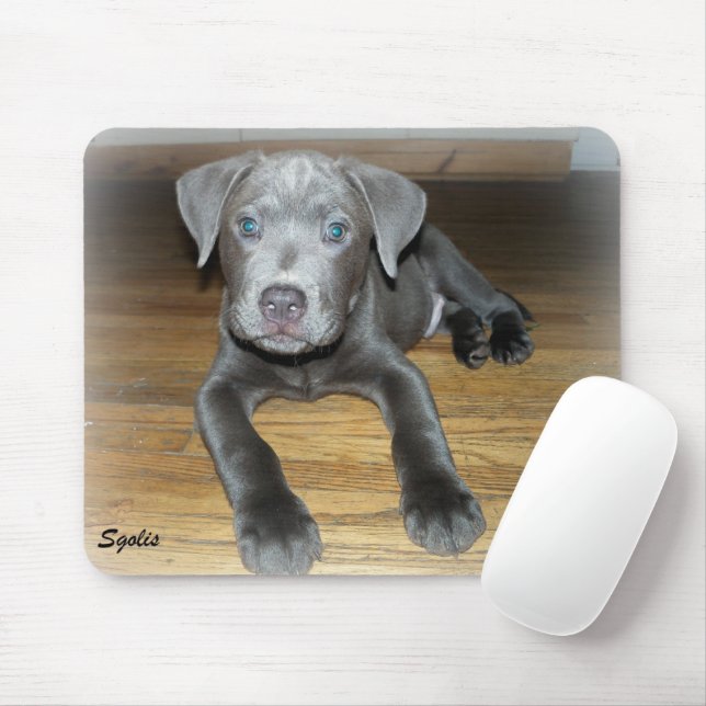 Mousepad Filhote de Pitbull / Cachorro Fofo  (Com mouse)