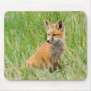Mousepad Filhote de Raposa Vermelha na grama perto da toca