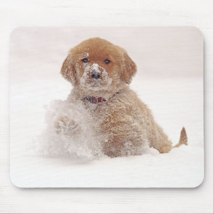 Mousepad Filhote de Retriever Dourado na Neve