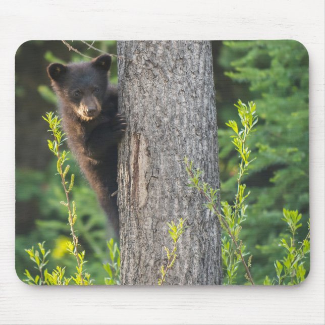 Mousepad Filhote de Urso Negro na Primavera (Frente)