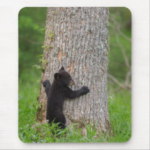 Mousepad Filhote de Urso Preto Grandes Montanhas Fumegant