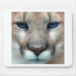 Mousepad Filhote do puma