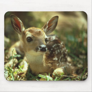 Mousepad Filhote Fawn