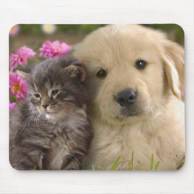 Mousepad Filhote Fofo e Gatinho (Frente)