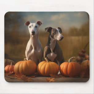 Mousepad Filhote Greyhound Delícia de Outono Abóbora