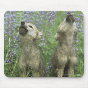 Mousepad Filhotes de cachorro de lobo que urram no prado