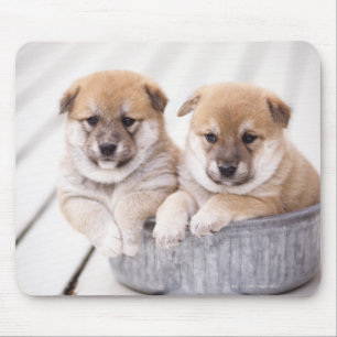 Mousepad Filhotes de cachorro de Shiba Inu na cuba de