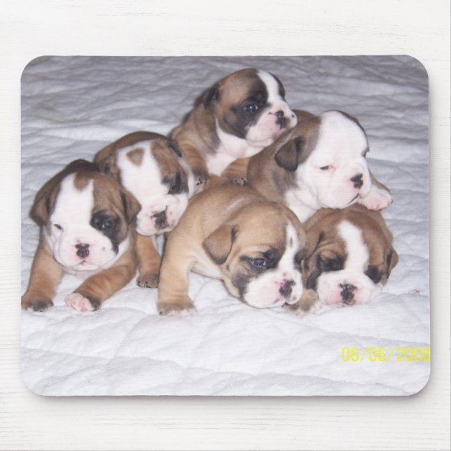 Mousepad filhotes de cachorro do buldogue (Frente)