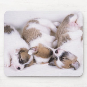 Mousepad Filhotes de cachorro do corgi do sono galês