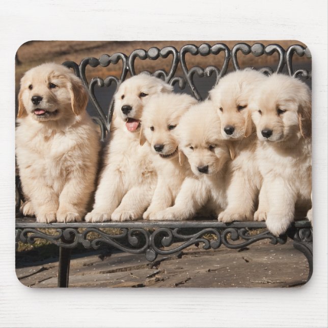 Mousepad Filhotes de cachorro do golden retriever (Frente)