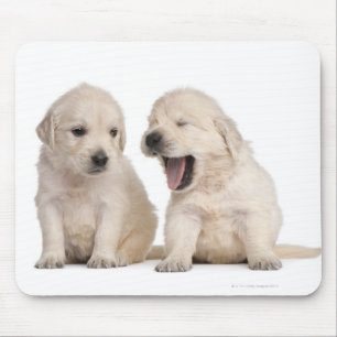 Mousepad Filhotes de cachorro do golden retriever (4