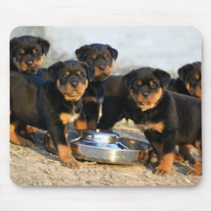 Mousepad filhotes de cachorro do rottweiler