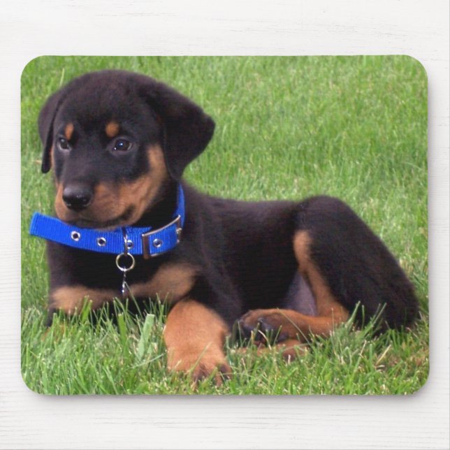 Mousepad filhotes de cachorro do rottweiler (Frente)
