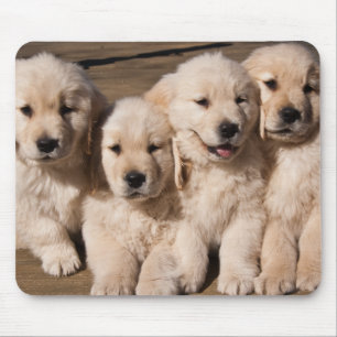 Mousepad Filhotes de cachorro doces do golden retriever