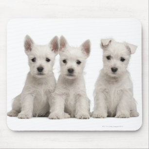 Mousepad Filhotes de cachorro ocidentais de Terrier das