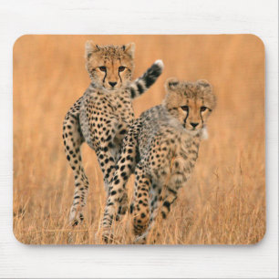 Mousepad Filhotes de Guepardos (Acinonyx Jubatus) Correndo