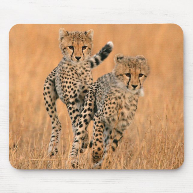 Mousepad Filhotes de Guepardos (Acinonyx Jubatus) Correndo (Frente)