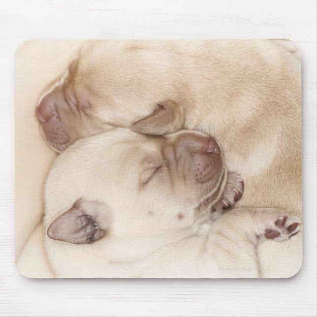 Mousepad Filhotes de Labrador Amarelo, 10 dias de idade (Frente)