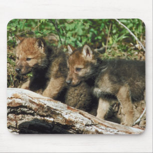 Mousepad Filhotes de lobo da madeira