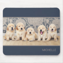 Filhotes de Retriever Dourado Personalizados Nome
