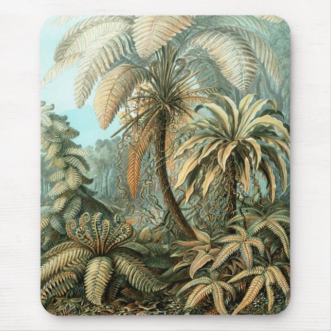 Mousepad Filicinae por Ernst Haeckel, Plantas de Samambaia  (Frente)