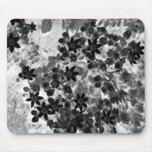 Mousepad Filligree (Frente)