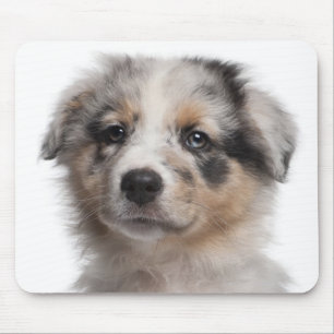 Mousepad Fim-acima australiano azul do filhote de cachorro