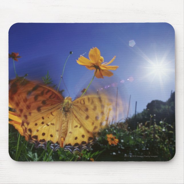 Mousepad Fim-acima da borboleta, batendo as asas (Frente)