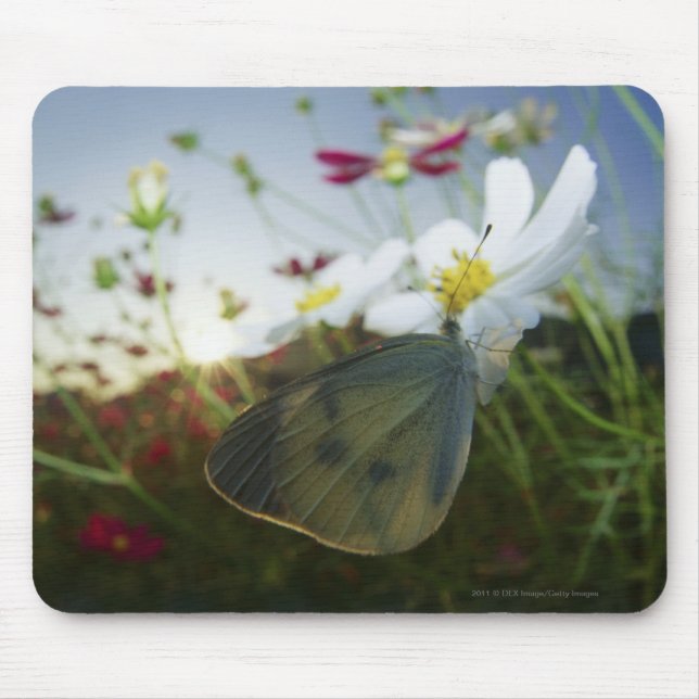 Mousepad Fim-acima da borboleta na flor (Frente)
