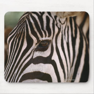Mousepad Fim-acima da cabeça da zebra