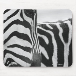 Mousepad Fim-acima da cara e do ombro da zebra