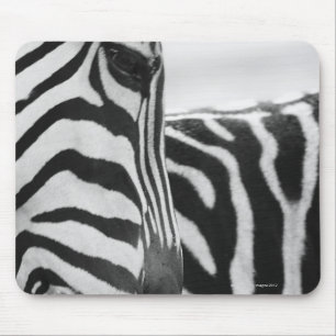 Mousepad Fim-acima da cara e do ombro da zebra