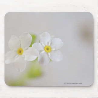 Mousepad Fim-acima das flores