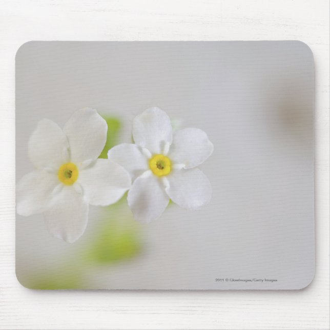 Mousepad Fim-acima das flores (Frente)