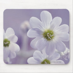 Mousepad Fim-acima das flores 2