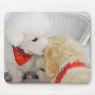 Mousepad Fim-acima de dois cães
