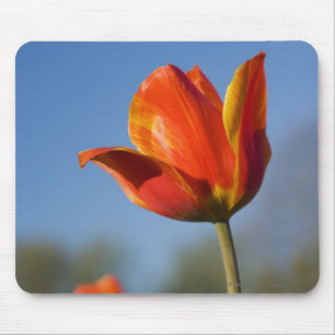 Mousepad Fim-acima de flores da tulipa