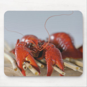 Mousepad Fim-acima de um caranguejo em varas