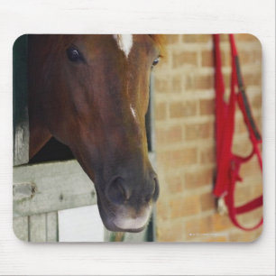 Mousepad Fim-acima de um cavalo 3