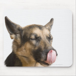 Mousepad Fim-acima de um german shepherd que lambe seu
