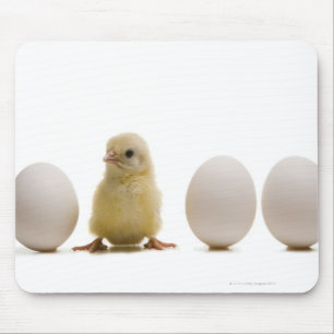 Mousepad Fim-acima de um pintinho do bebê com três ovos