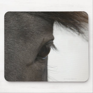 Mousepad Fim-acima do olho e do cabelo do cavalo