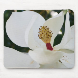 Mousepad Fim branco da flor dos presentes da flor da